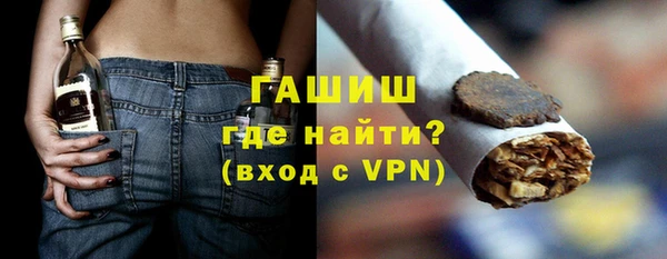 молекула духа Богородицк