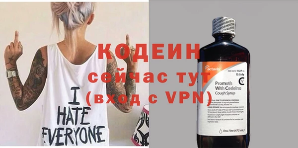 молекула духа Богородицк