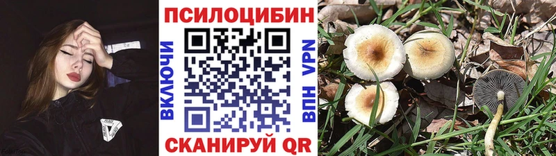 Галлюциногенные грибы MAGIC MUSHROOMS  гидра ССЫЛКА  Мамадыш 