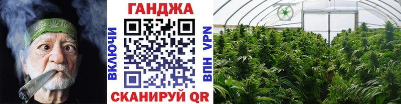 Бошки марихуана OG Kush Мамадыш